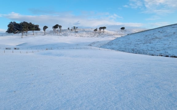 Snow on a farm at Wyndham, Southland, Thursday 6 October 2022.