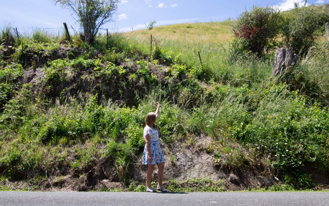 Pamela Coleman at the sight of the accident, pointing up to the area from where the tree stump tumbled onto her vehicle.
