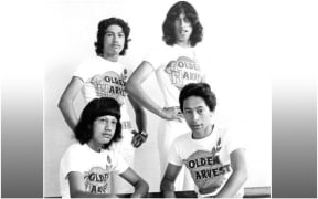 Golden Harvest
