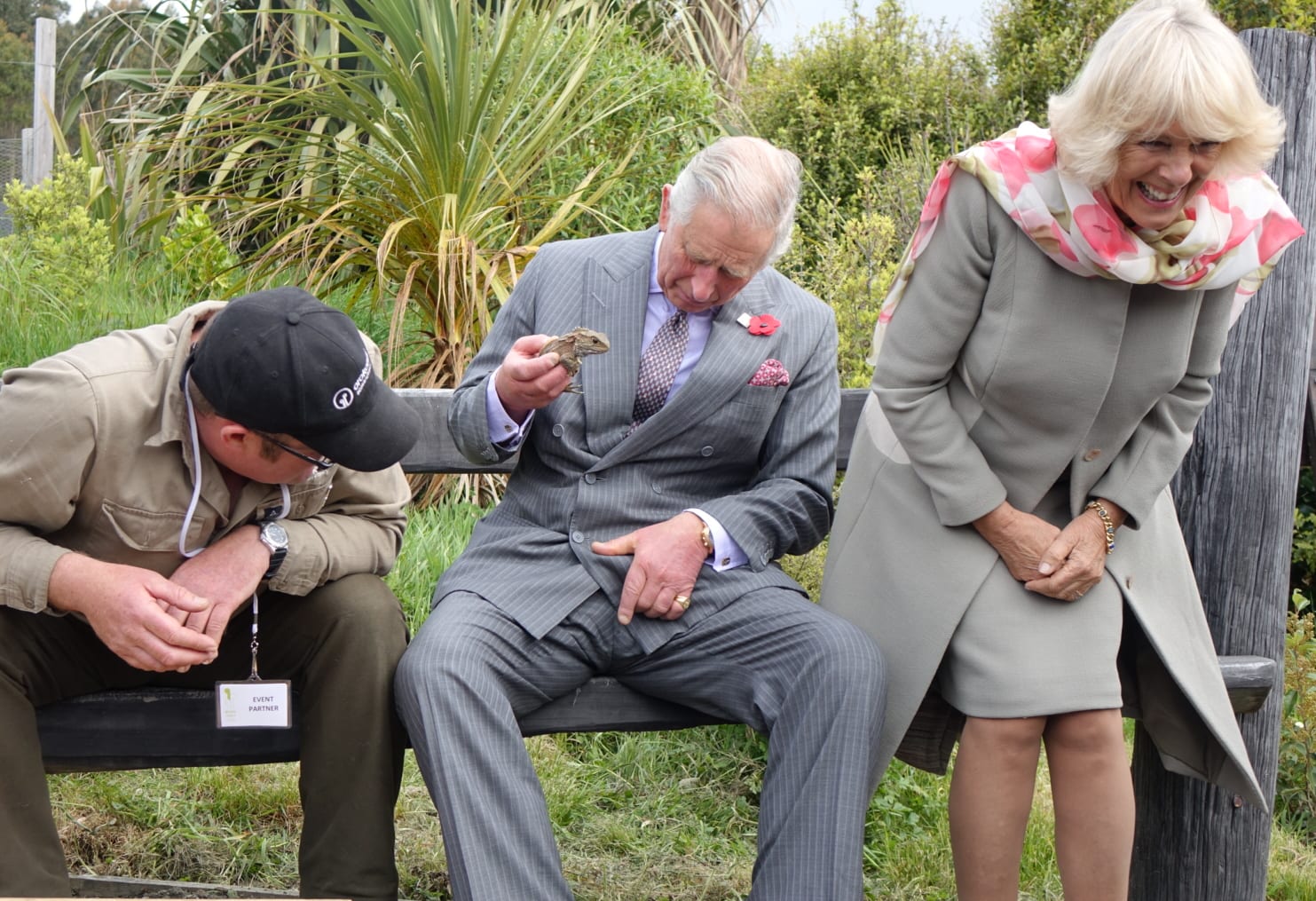 A bee landed on Prince Charles' leg while he was holding the tuatara in Dunedin.