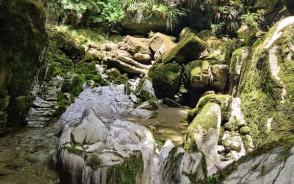 Cave Creek (Kotihotiho) is in the Paparoa National Park, on the West Coast.