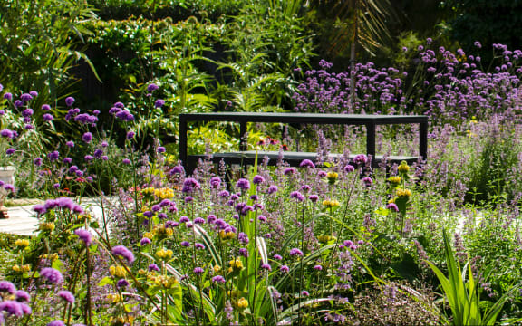 sunny garden