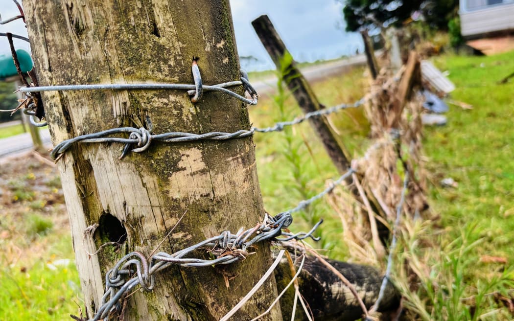 The barbed wire fence Wetere’s partner was snared in as floodwaters pushed against her.