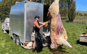 Jordan Hamilton-Bicknell overs homekill service.