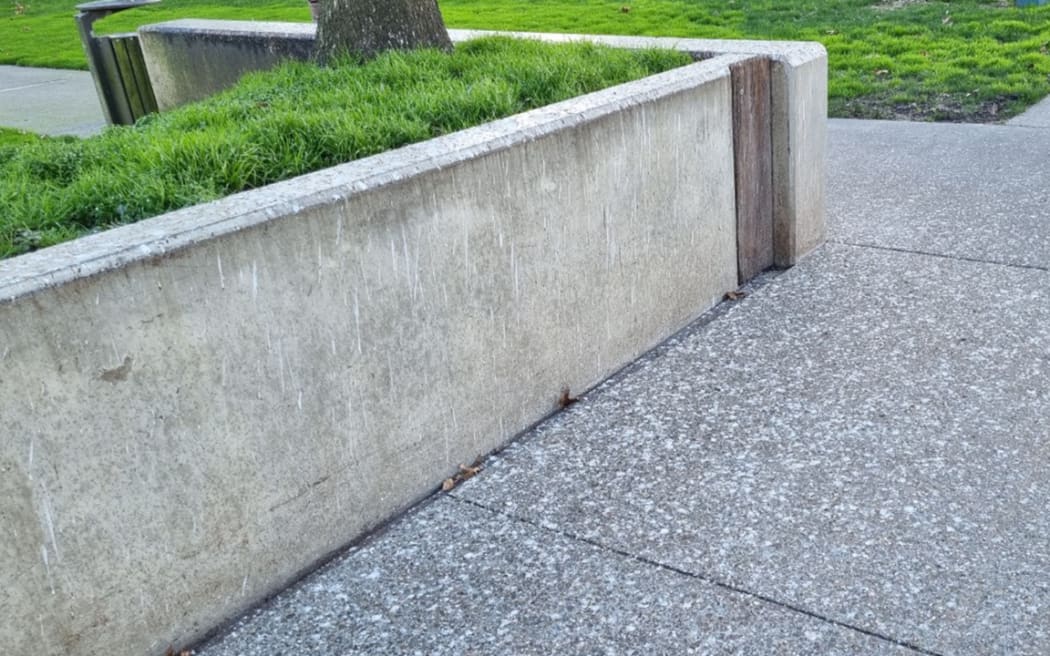 Palmerston North bird poo.