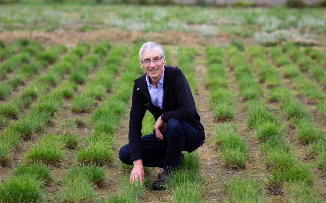 A bespectacled man in a navy suit with a purple shirt is crouched down amongst some tuffets of grass, smiling at the camera.