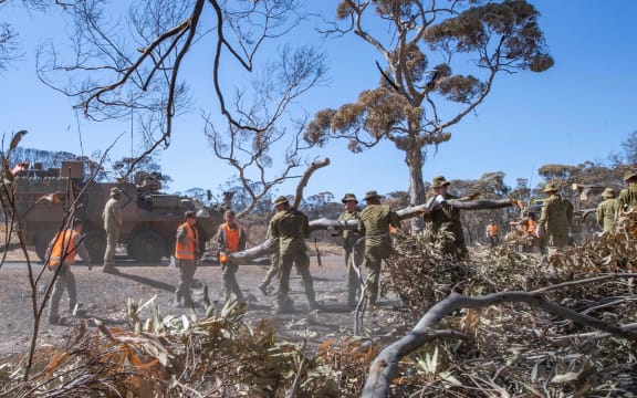 NZ Army's 2ER undergo tree felling tasks at Flinders Chase National Park on Kangaroo Island during the Australian Bushfires.
