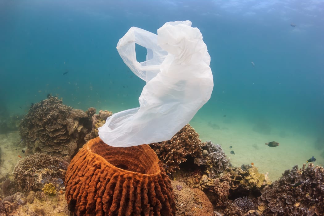 A torn plastic bag drifts over a tropical coral reef causing a hazard to marine life such as turtles.