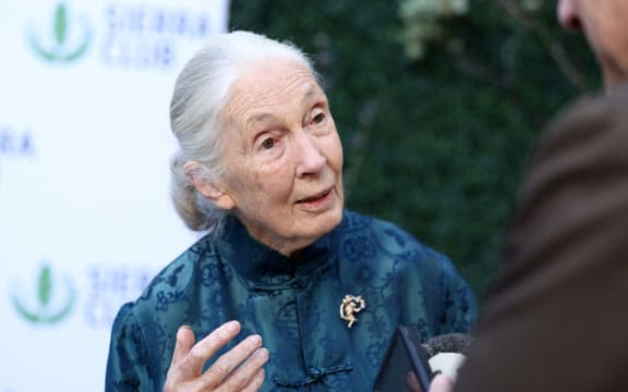 Jane Goodall attends Sierra Club's 2025 Trail Blazers Ball on 2 April 2025 in Los Angeles, California.