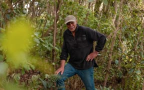 Willy Marsh is now helping train dogs around Wellington to avoid kiwi and other birdlife like the little penguin kororā.