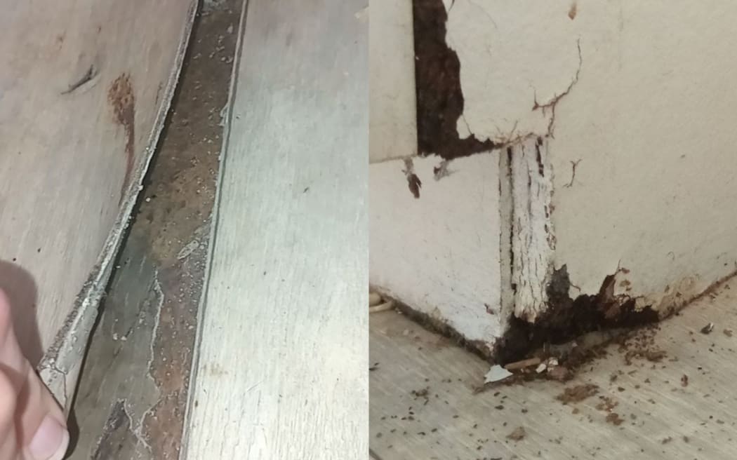 Mould in Samantha Moore's rental.