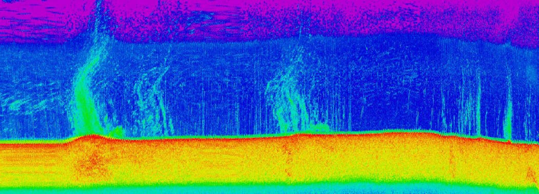 With the help of acoustic imaging techniques, the team described methane hydrate deposits and seeps on the seabed.