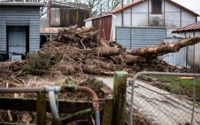 Tasman weather - Riwaka, Motueka