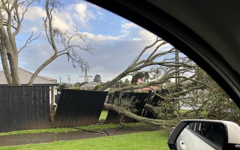 Toppled trees, fallen power lines overnight as strong winds and rain ...