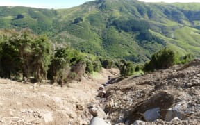 A slip from the upper valley in Goughs Bay down to the stream