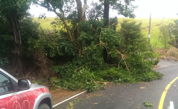 Branches were brought down on roads and power lines.