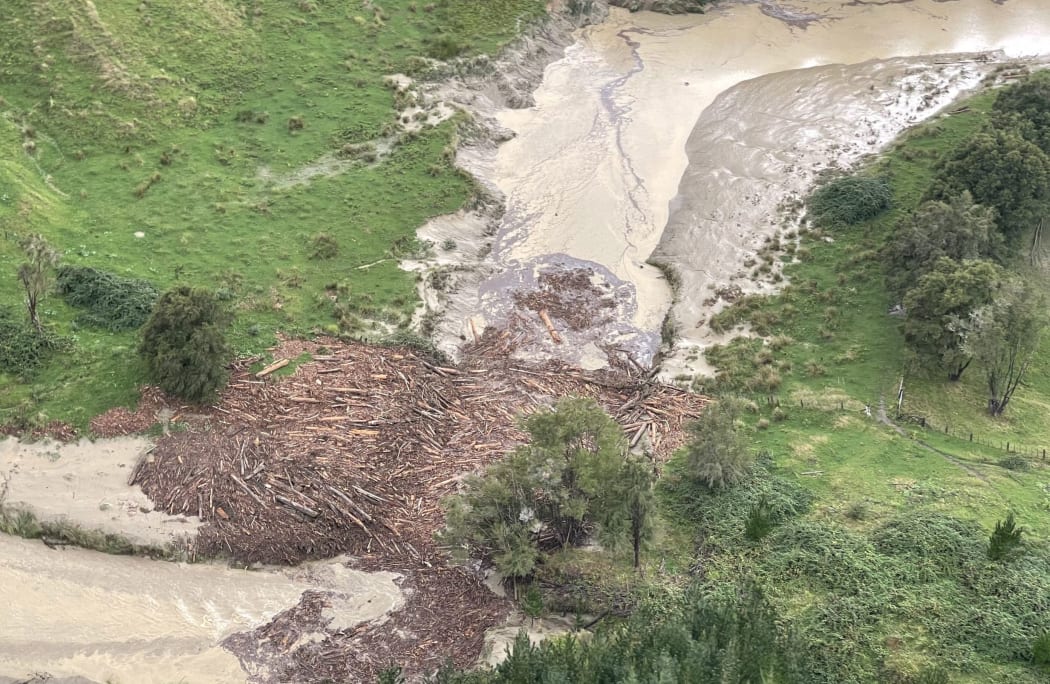 Forestry slash in a river north of the Anaura Bay turnoff on SH 35 near Gisborne