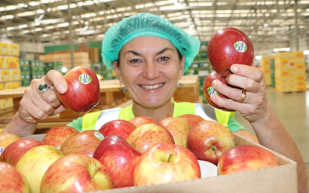 Heidi Stiefel with the new compostable apple stickers.