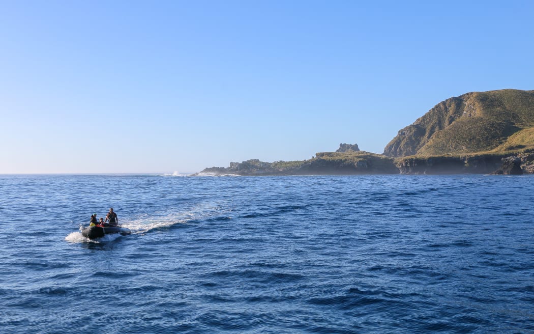 A small inflatable zodiac dinghy piloted by a man motors across deep blue ocean in front of a rugged island with steep cliffs and low grassy vegetation. The sky is clear and blue.