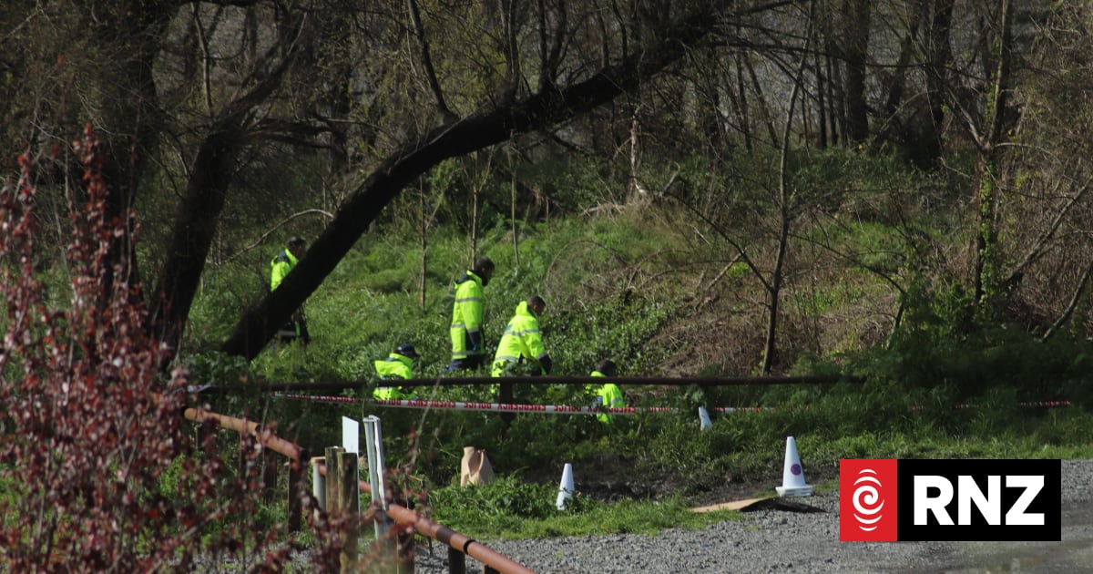 Police admit failing to notice body in burnt out car | RNZ