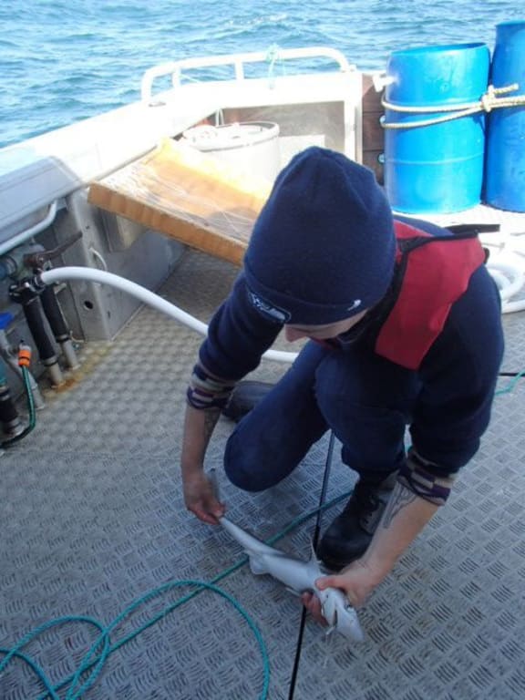 Sunkita Howard on the deck of a boat holding a small shark