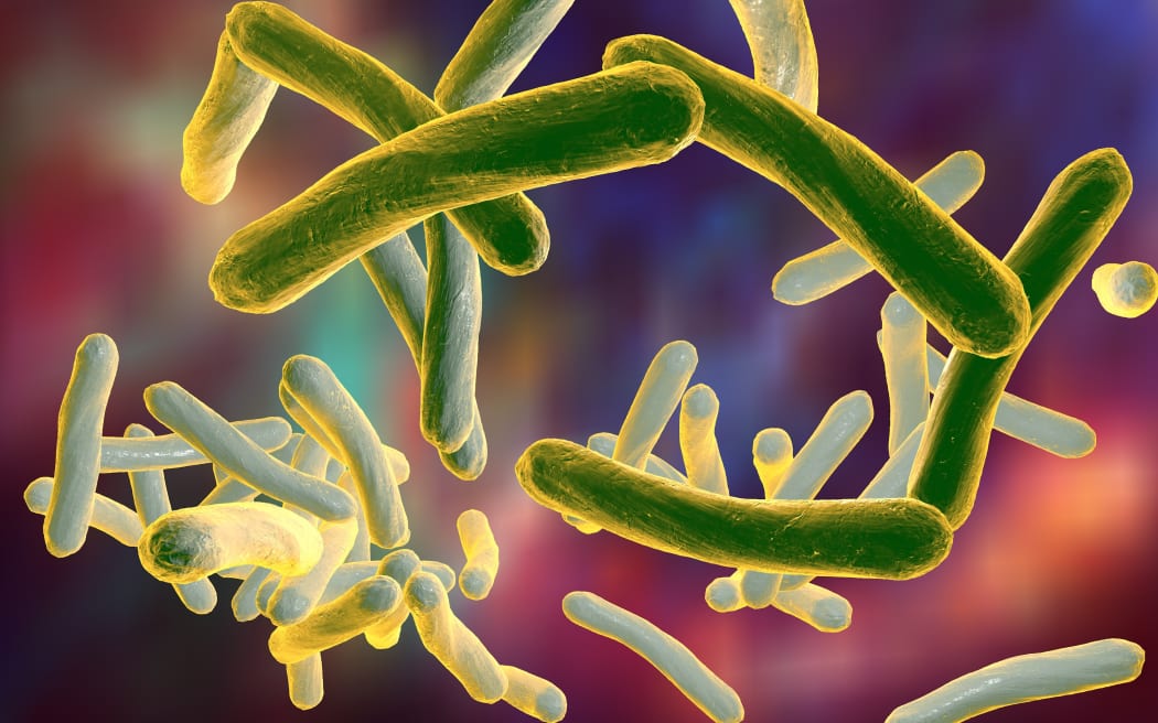 Bacteria Mycobacterium tuberculosis, the causative agent of tuberculosis, 3D illustration