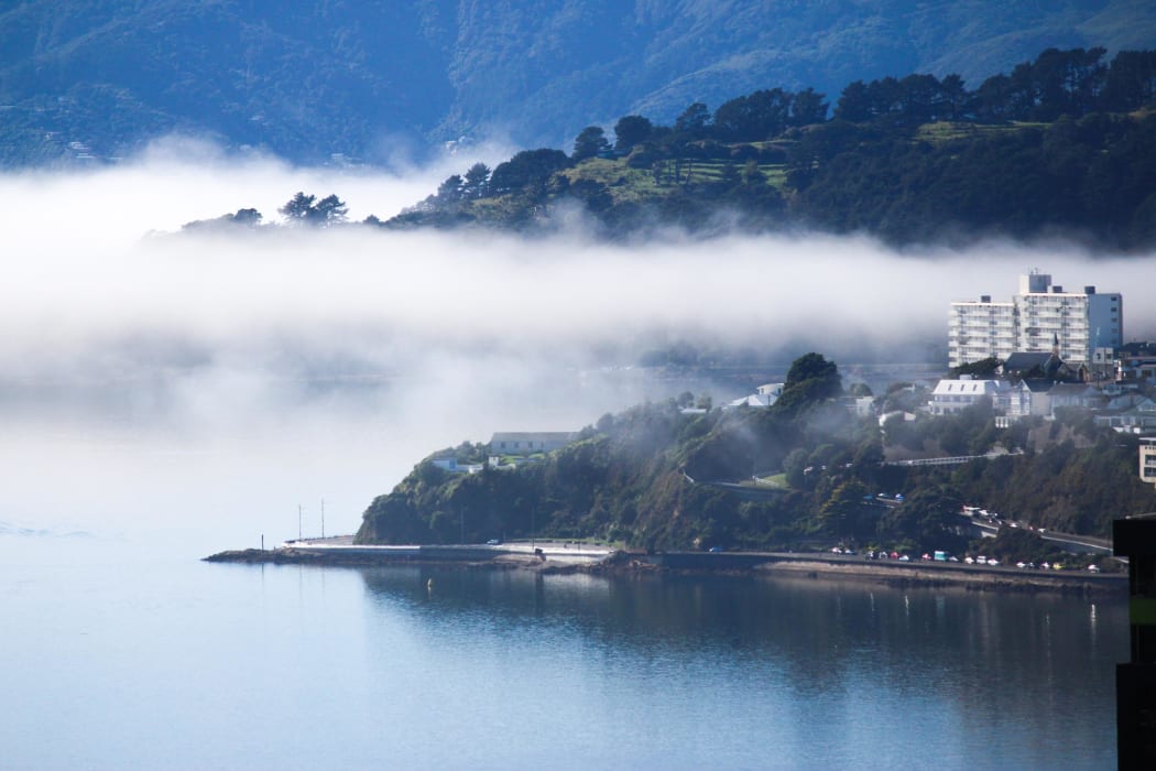 Fog blankets Wellington harbour on 31 March 2022.