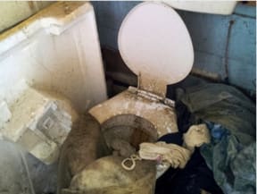 The toilet in the Dunedin flat.