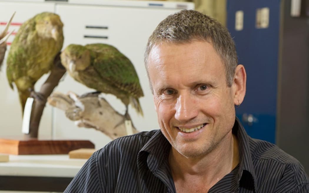 Te Papa's Vertebrates curator Dr Colin Miskelly, Te Papa, 2017