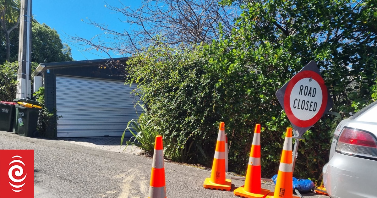 Wellington can no longer keep ahead of water repairs, immigration into