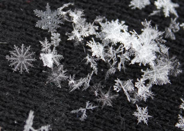 The Science Of... Snow | RNZ