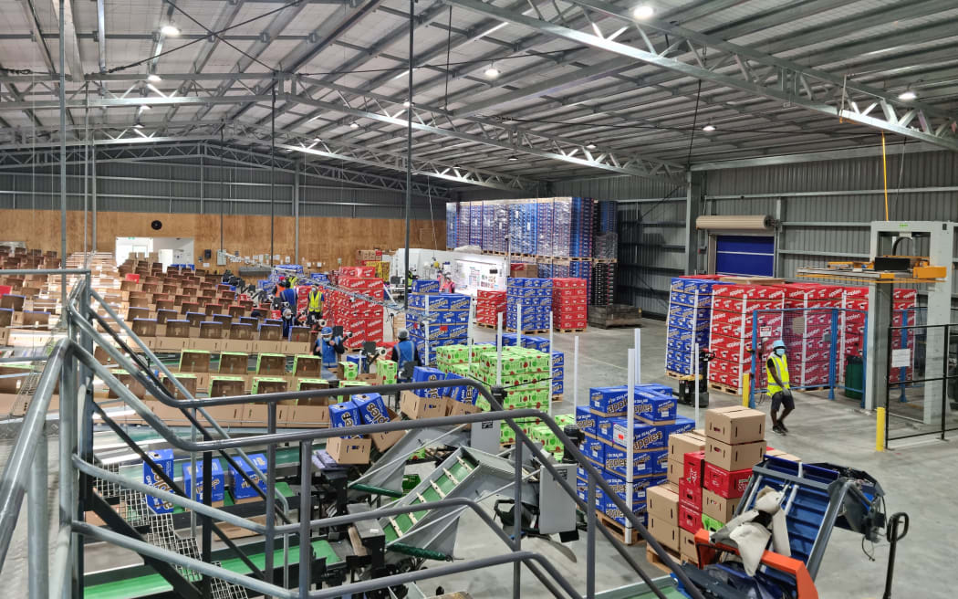 Royal Gala apples in the Thomas Brothers Talasea Packhouse being packaged for export.