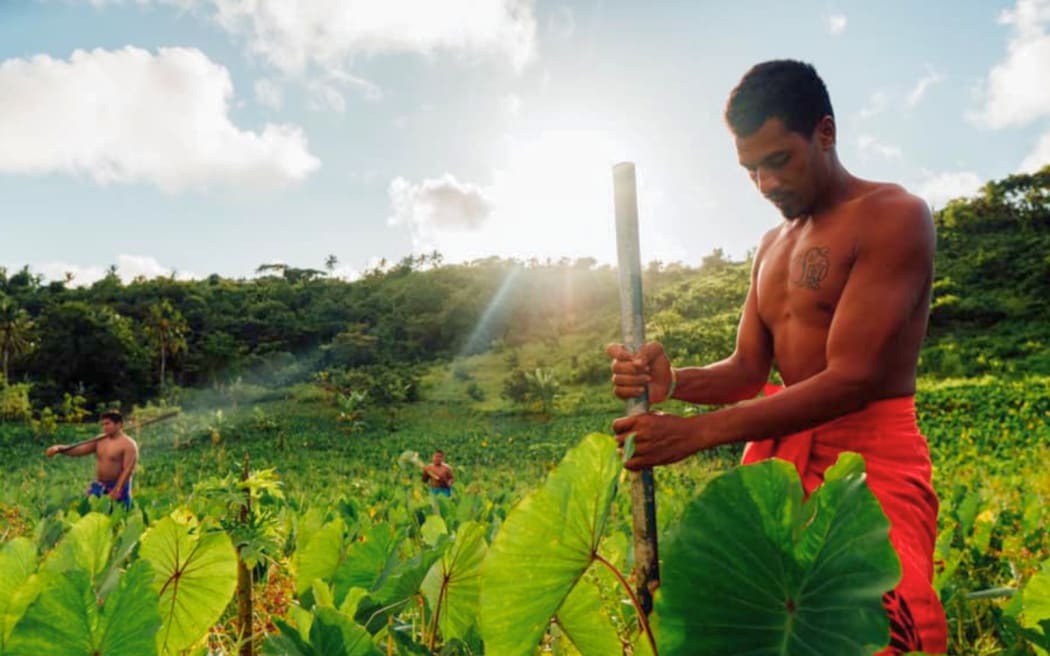 Falesaopule sees the untapped potential and employment opportunities from working the land in their district. Photo/Alafaga Photography