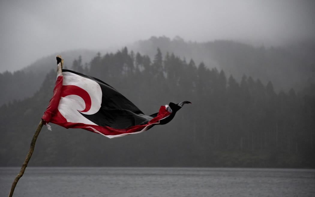 A tino rangatiratanga flag flies at tapu Lake Rotokākahi near Rotorua.