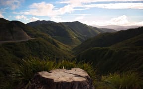 Rimutaka Ranges from the Remutaka Pass