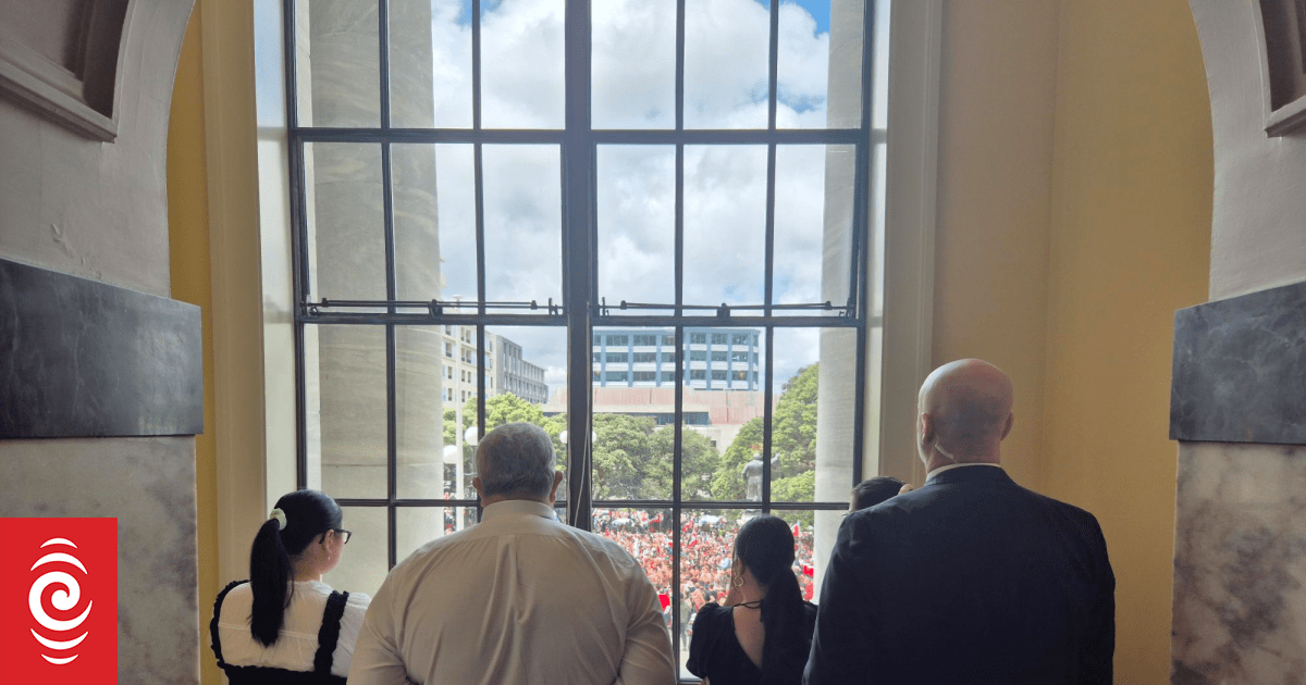 Speaker's handling of hīkoi 'overkill' - Te Paati Māori