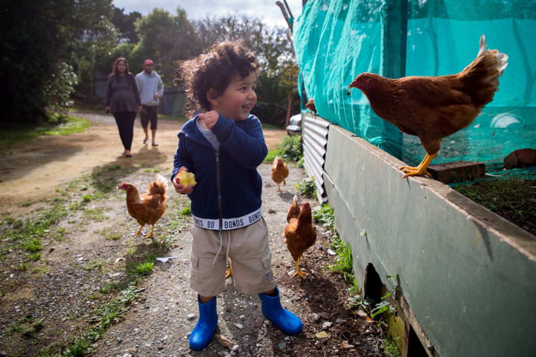 Tūkapua Sannyasi feeds the chickens at Tapu Te Ranga marae watched by his mother Pare (back left) and father Enoch.