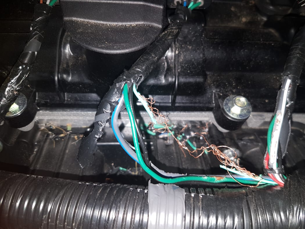 Damage to the wiring shows where the rat has chewed.