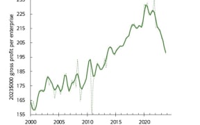 Independent economist Shamubeel Eaqub had been tracking real profits per enterprise for years.