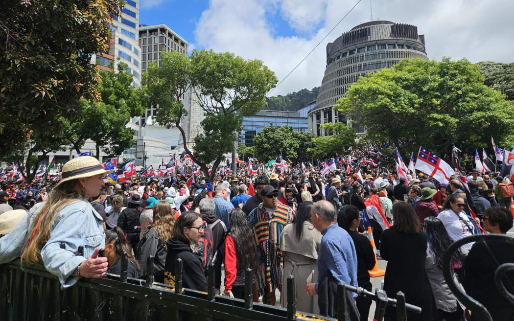 The parliament lawn packed out.