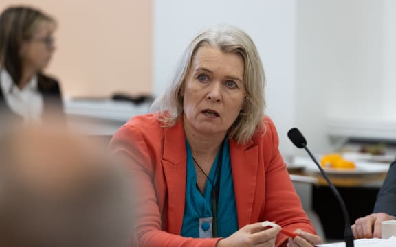 Labour MP Ingrid Leary in Select Committees during the 2023 Estimates Hearings.