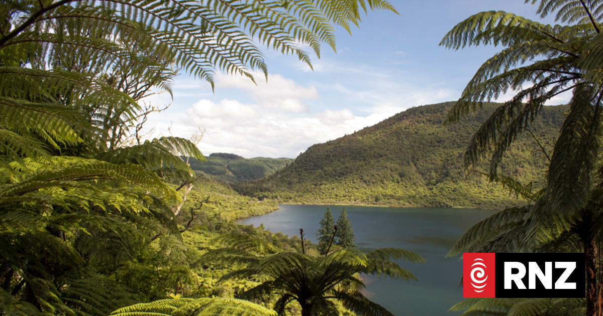 High Court finds Rotorua council broke law in handling of sewerage pipe near sacred lake