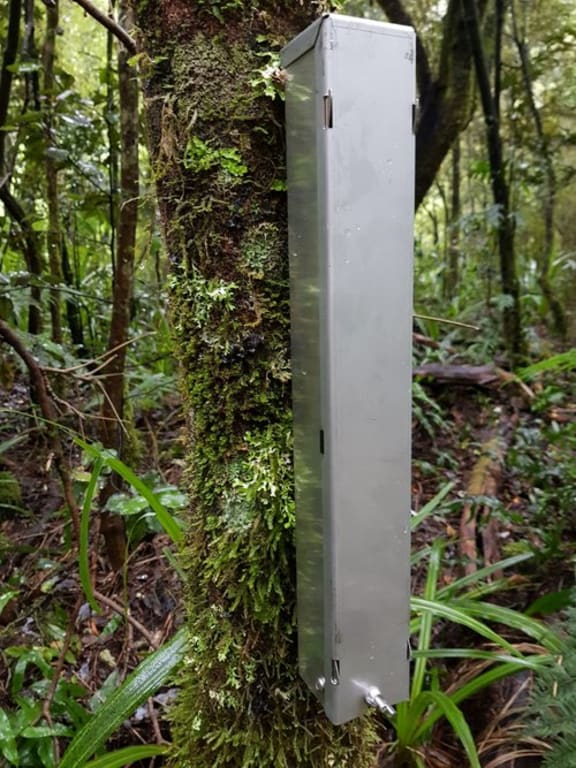 A tree-mounted automated lure dispenser in the Perth Valley.