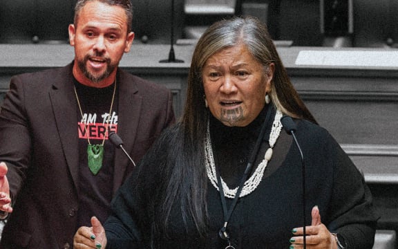 'Rogue' Te Pāti Māori MPs Ferris and Kapa-Kingi expelled from party