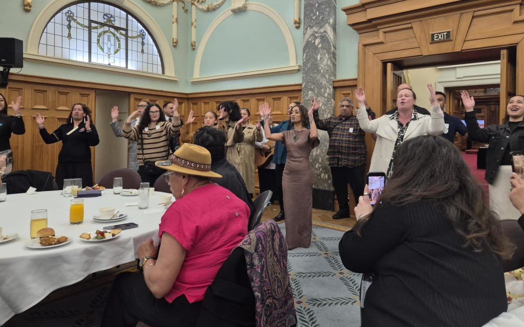 Te Pāti Māori MP Oriini Kaipara