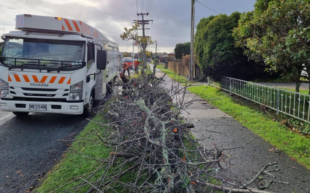 Hamilton clean up on grandview Rd