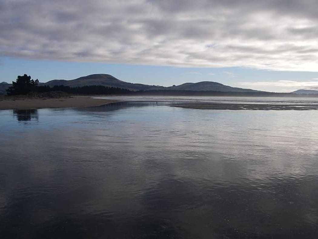 There are currently no marine protected areas on the south-east coast of the South Island, although the East Coast Taiapure local fishery at Karitane controls the take of shellfish and fish as part of an effort to secure a long term sustainable fishery.