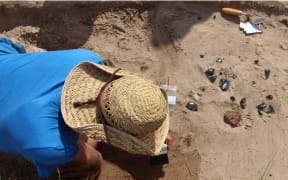 An excavation site on Ahuahu (Great Mercury Island).