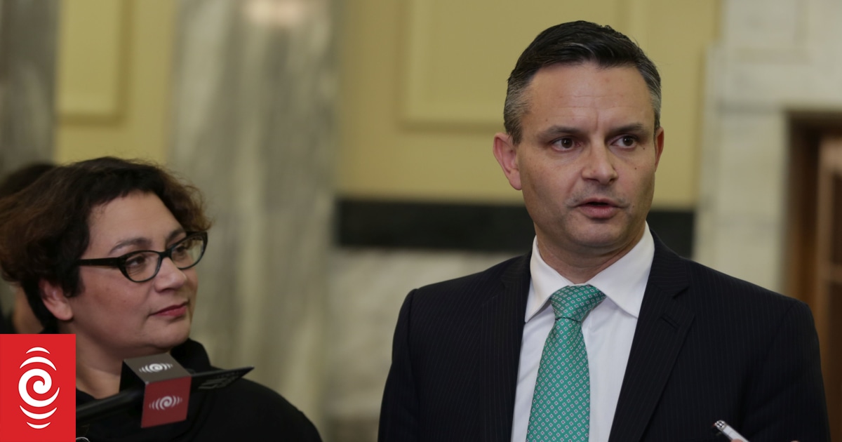 Metiria Turei 'came from nothing', James Shaw says
