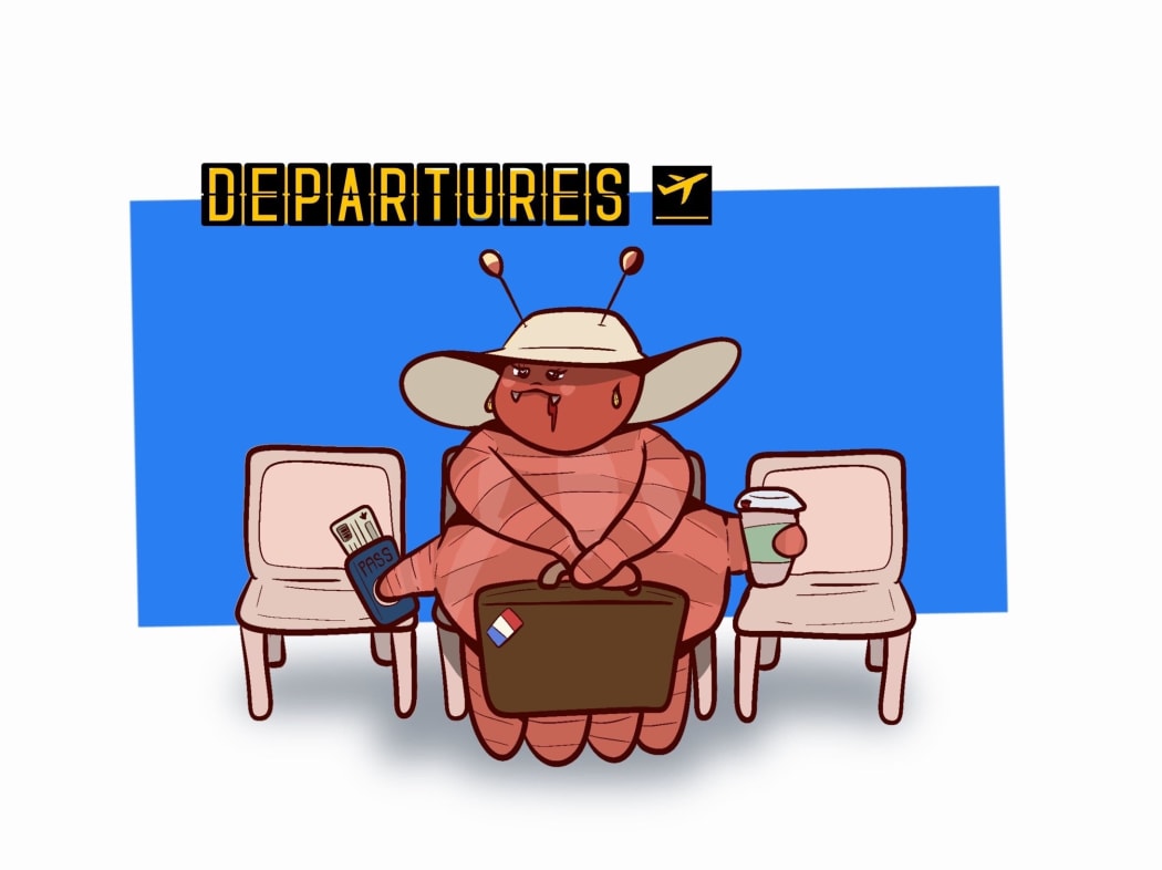 The issue of bedbugs in Paris during the Rugby World Cup has become a talking point. (Illustration)